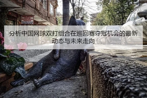 分析中国网球双打组合在巡回赛夺冠机会的最新动态与未来走向