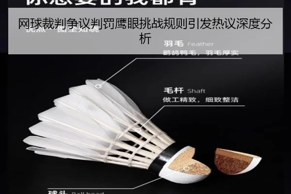 wang-qiu-cai-pan-zheng-yi-pan-fa-ying-yan-tiao-zhan-gui-ze-yin-fa-re-yi-shen-du-fen-xi-2-240.jpg